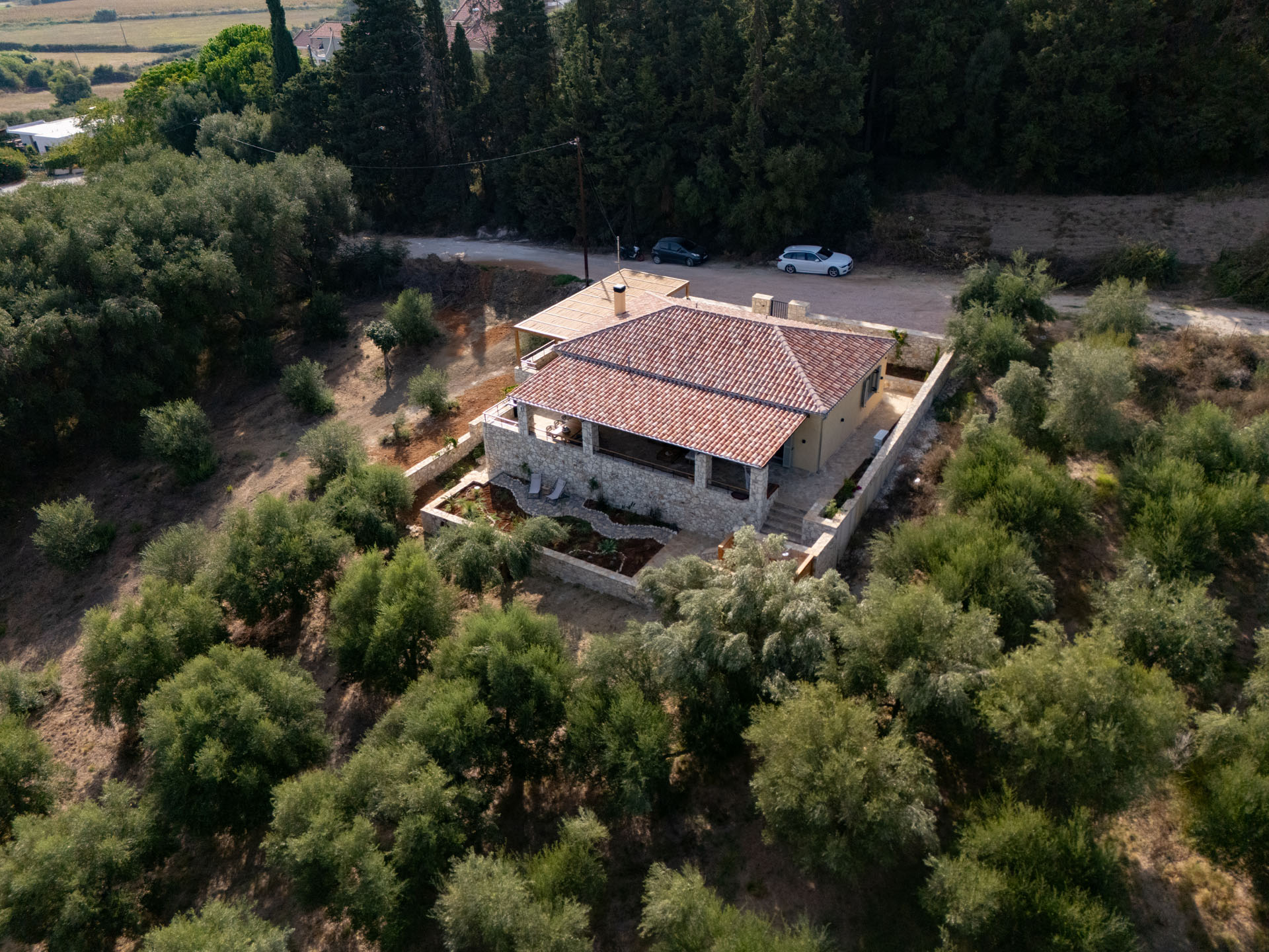 The house alone in the olive grove, seen from above